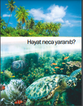 Həyat necə yaranıb?